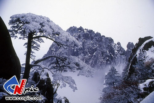 004-3771 黄山风光