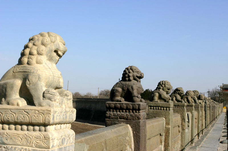 北京卢沟桥的石狮子